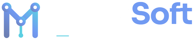 Metasoft IT Solutions